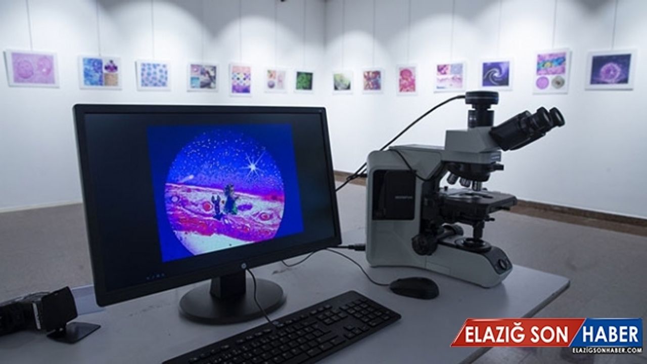 Antibakteriyel lifler artık Türkiye'de üretilebilecek