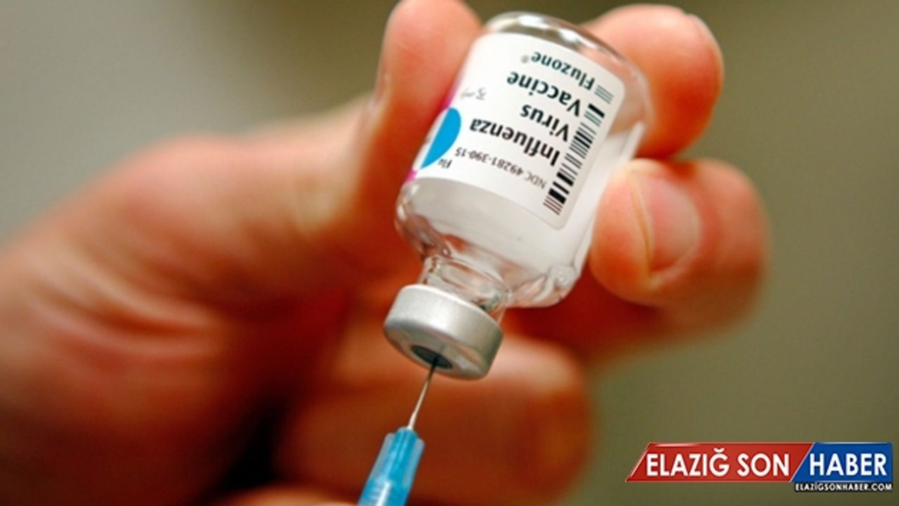 Dünya Sağlık Örgütü'nden küresel grip salgını uyarısı