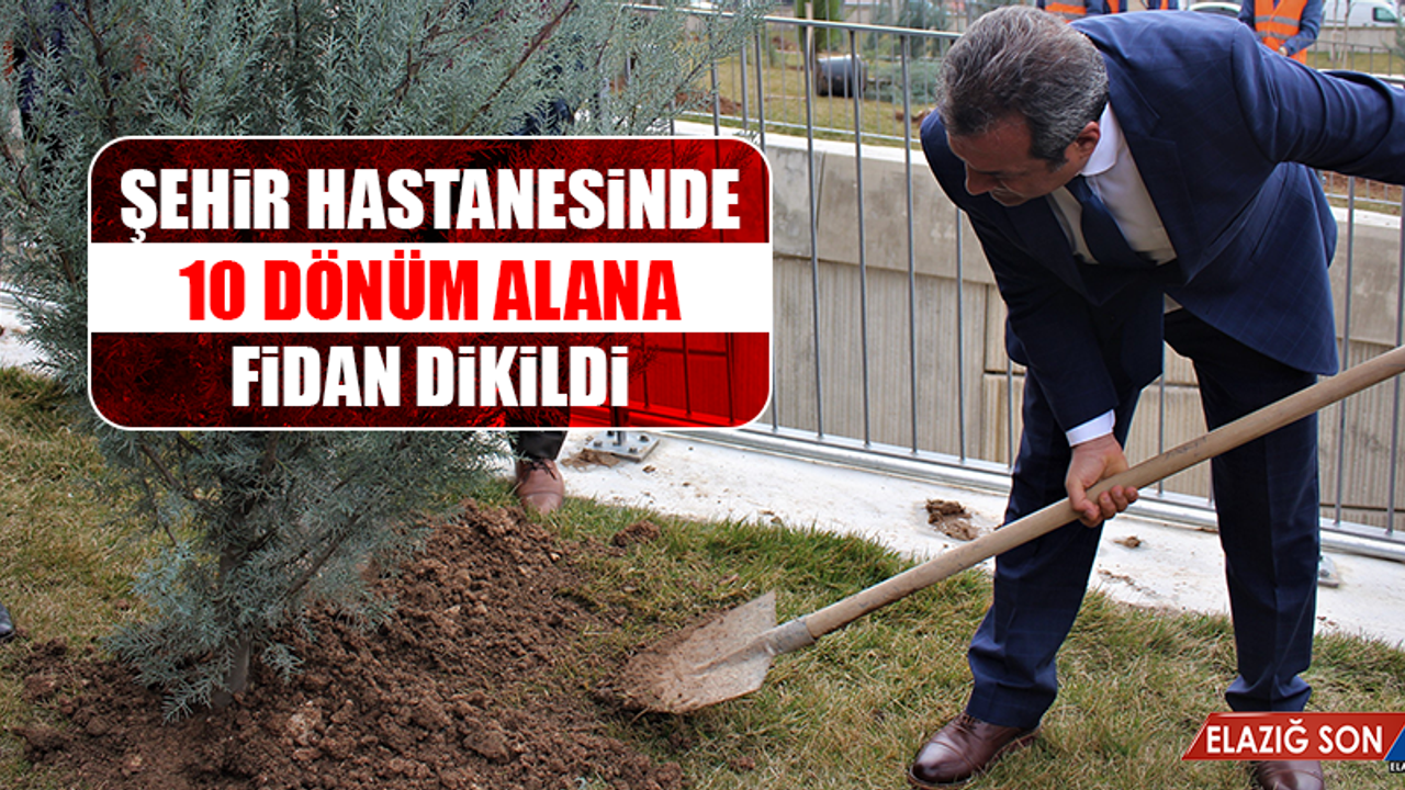 Şehir Hastanesinde 10 Dönüm Alana Fidan Dikildi