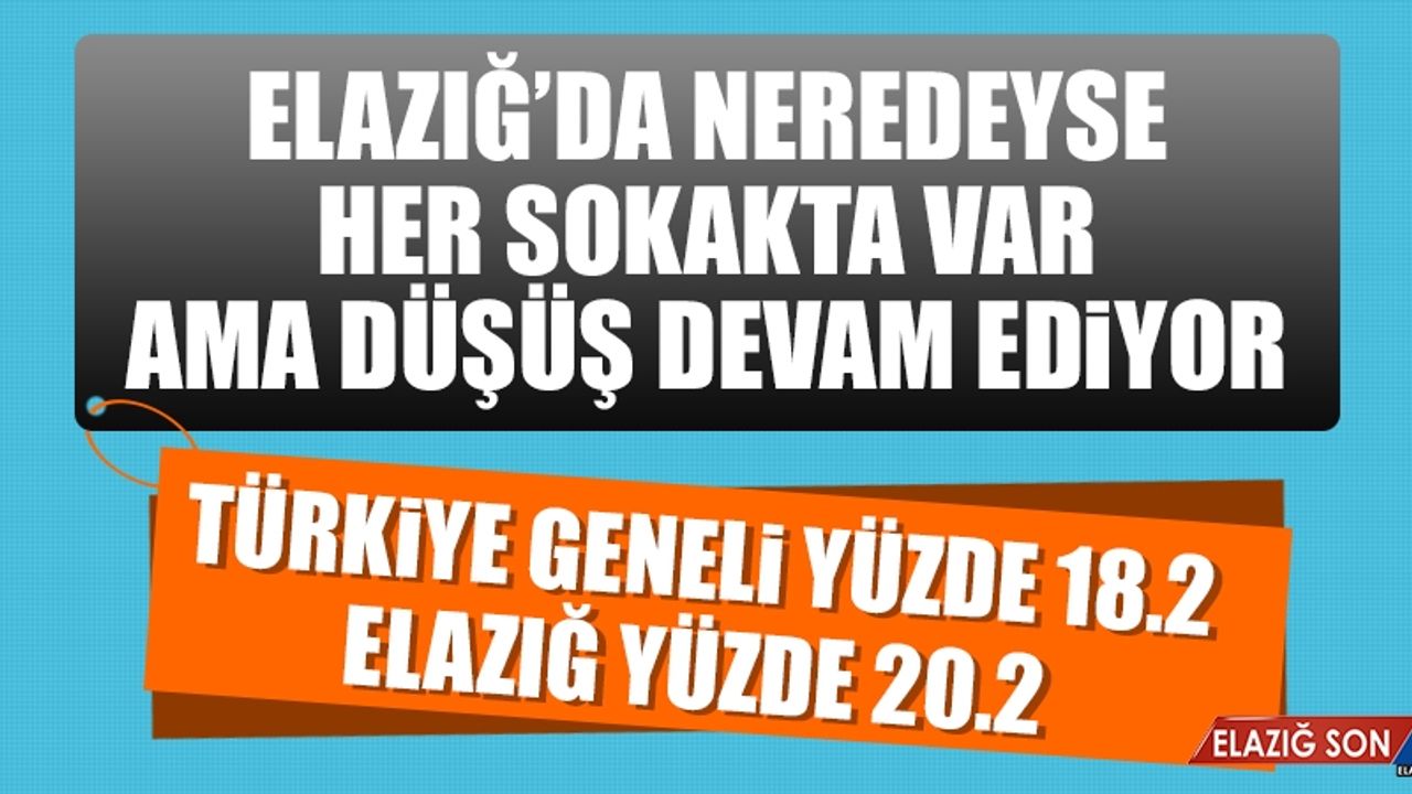 Şubat Ayı Konut Satış Oranları Açıklandı