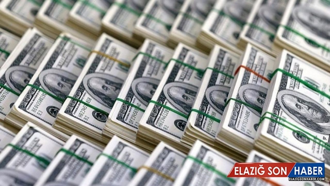 Türkiye'nin yurt dışı varlığı 240 milyar dolara ulaştı