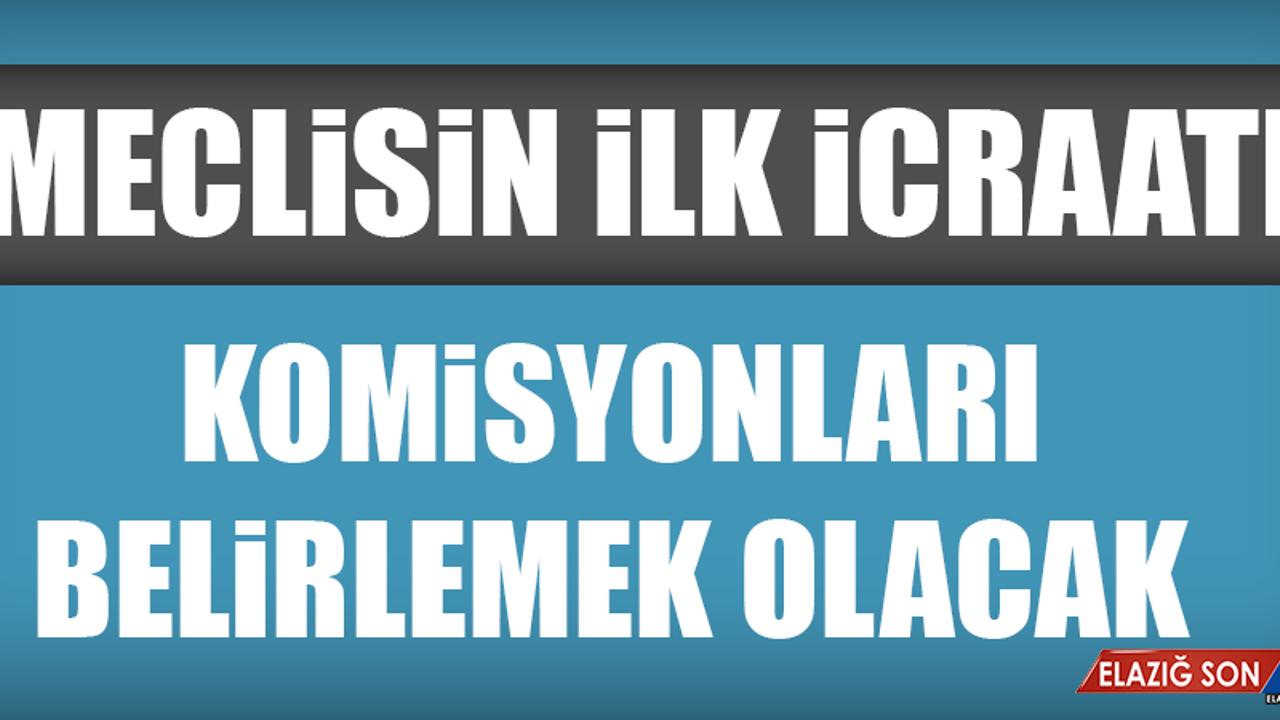 MECLİSİN İLK İCRAATI KOMİSYONLARI BELİRLEMEK OLACAK