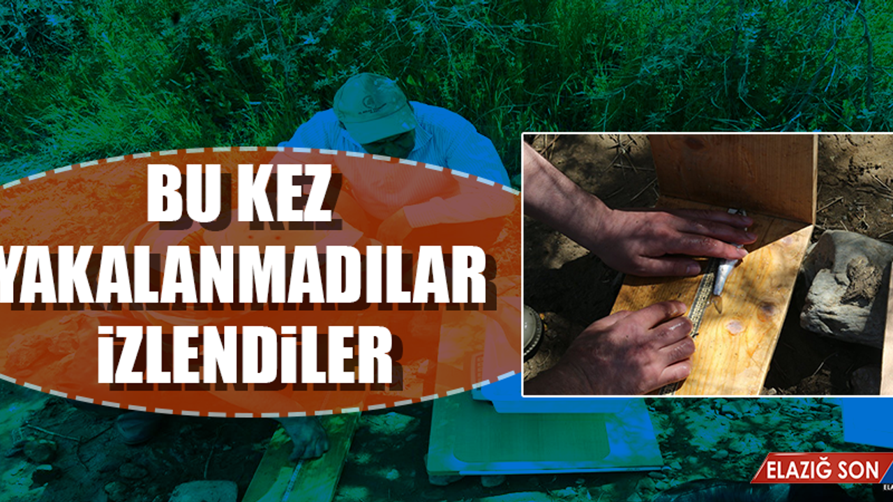Hazar Gölünde Balık İzleme Çalışması Yapıldı
