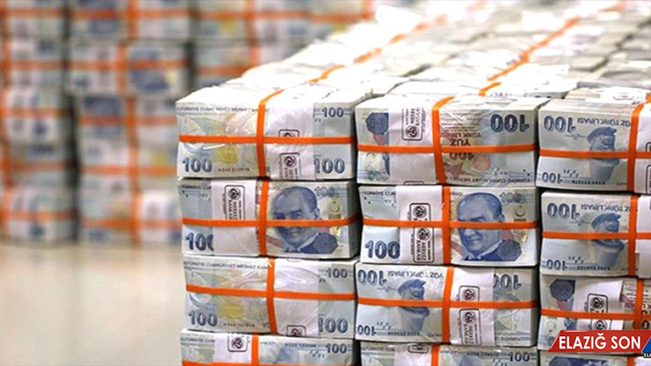 Mayıs'ta bütçe 12,1 milyar lira açık verdi