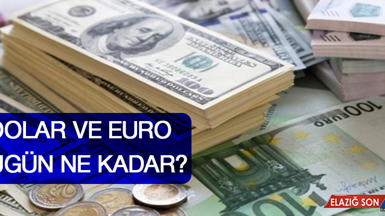 21 Temmuz Dolar Ve Euro Fiyatı
