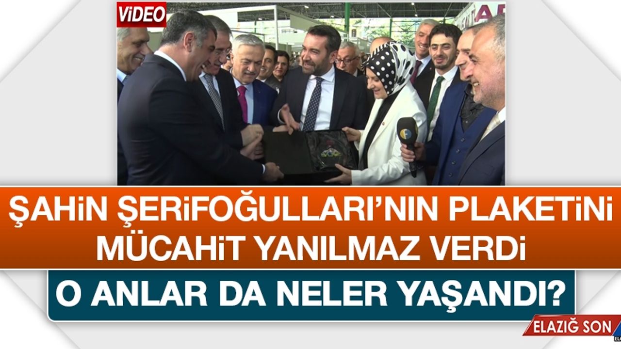 Halef ve Selef Bir Araya Geldi