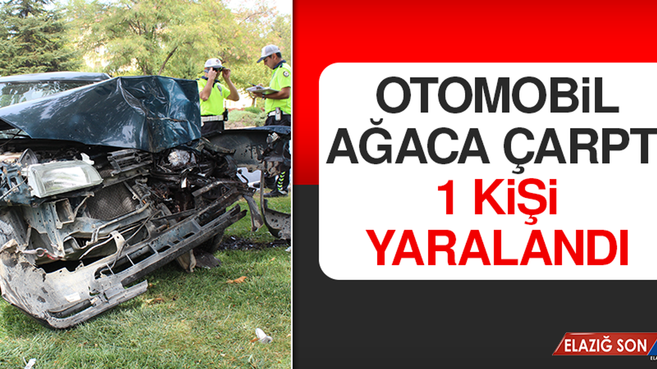Otomobil Ağaca Çarptı, 1 Kişi Yaralandı