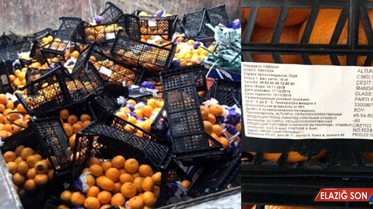 Rusya'ya Gönderdiğimiz 21 Ton Mandalina İmha Edildi