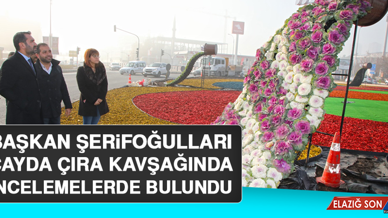 Başkan Şerifoğulları, Çayda Çıra Kavşağında İncelemelerde Bulundu