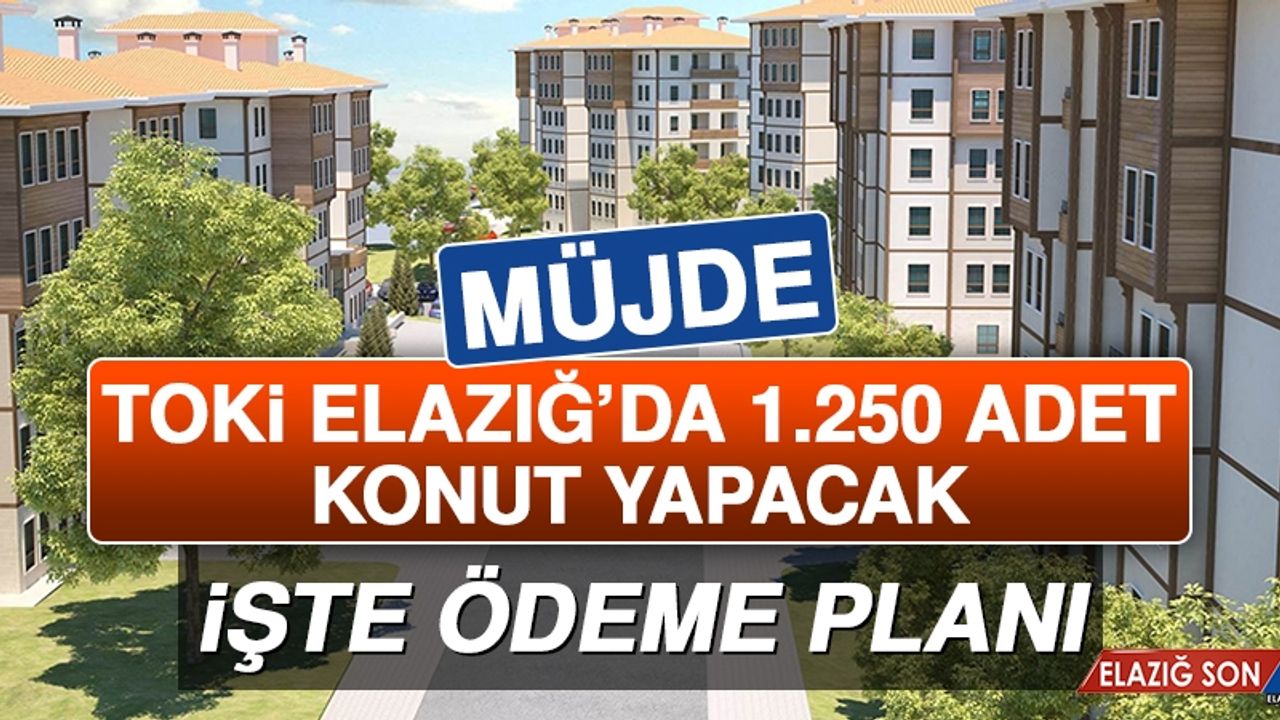 TOKİ Elazığ'da 1.250 Adet Konut Yapacak