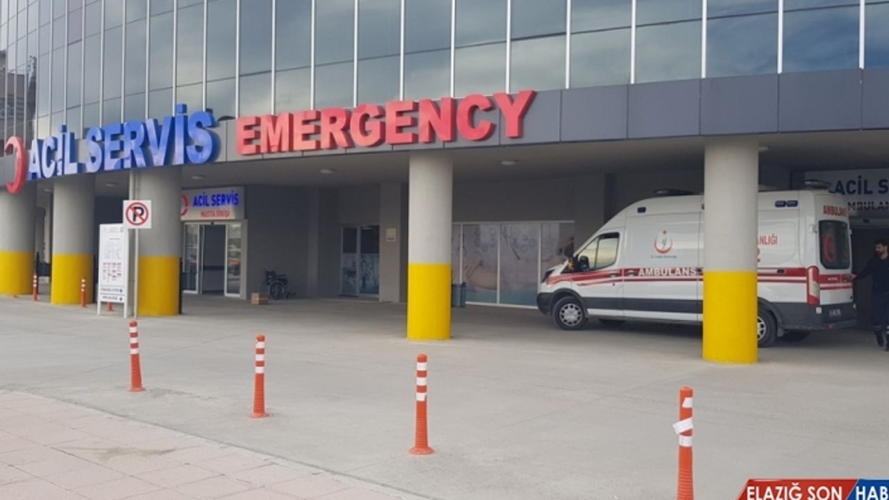 Erzincan'da yüksek ateş şikayetiyle hastaneye kaldırılan İranlı tır şoförü taburcu edildi