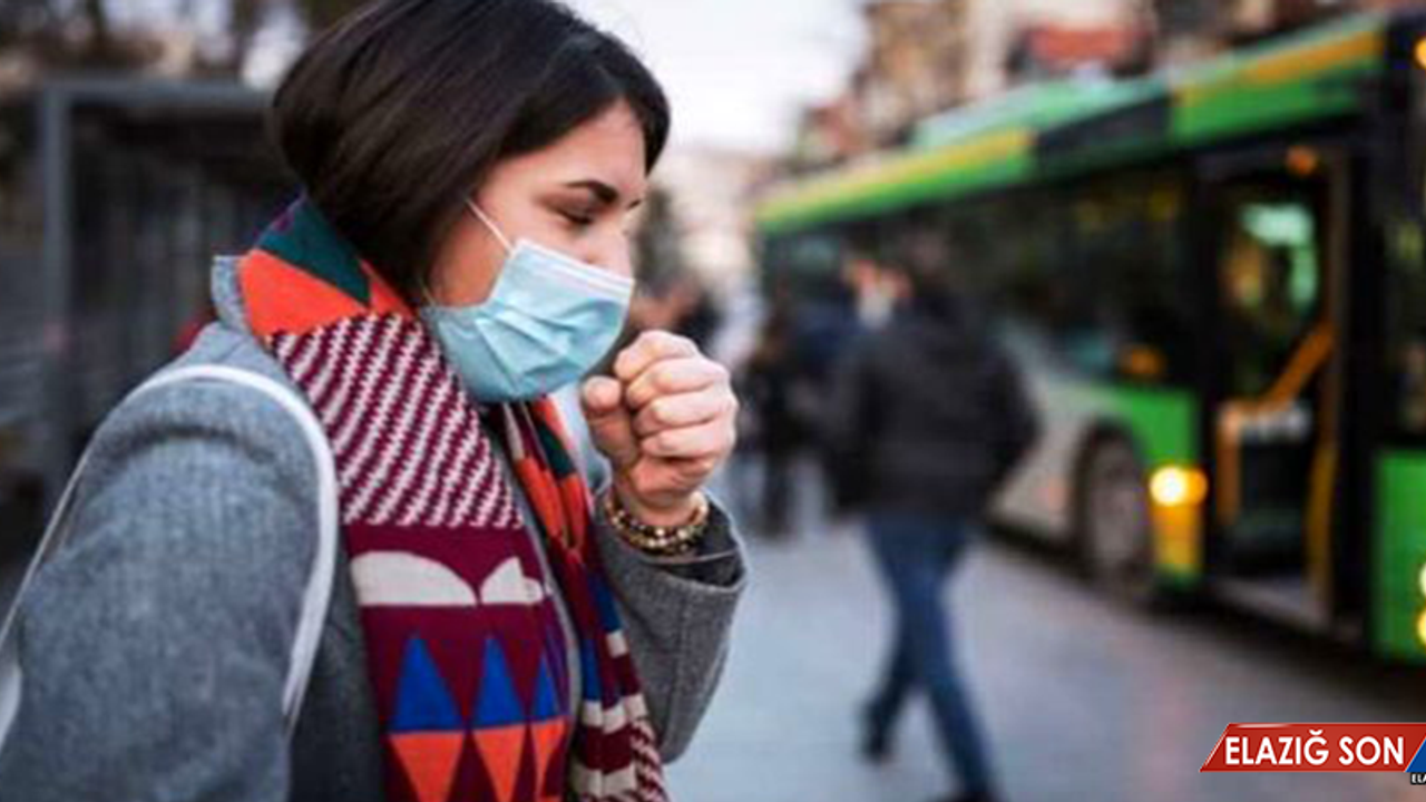 Koronavirüs Bilim Kurulu Üyesi, en riskli 5 şehrimizi açıkladı