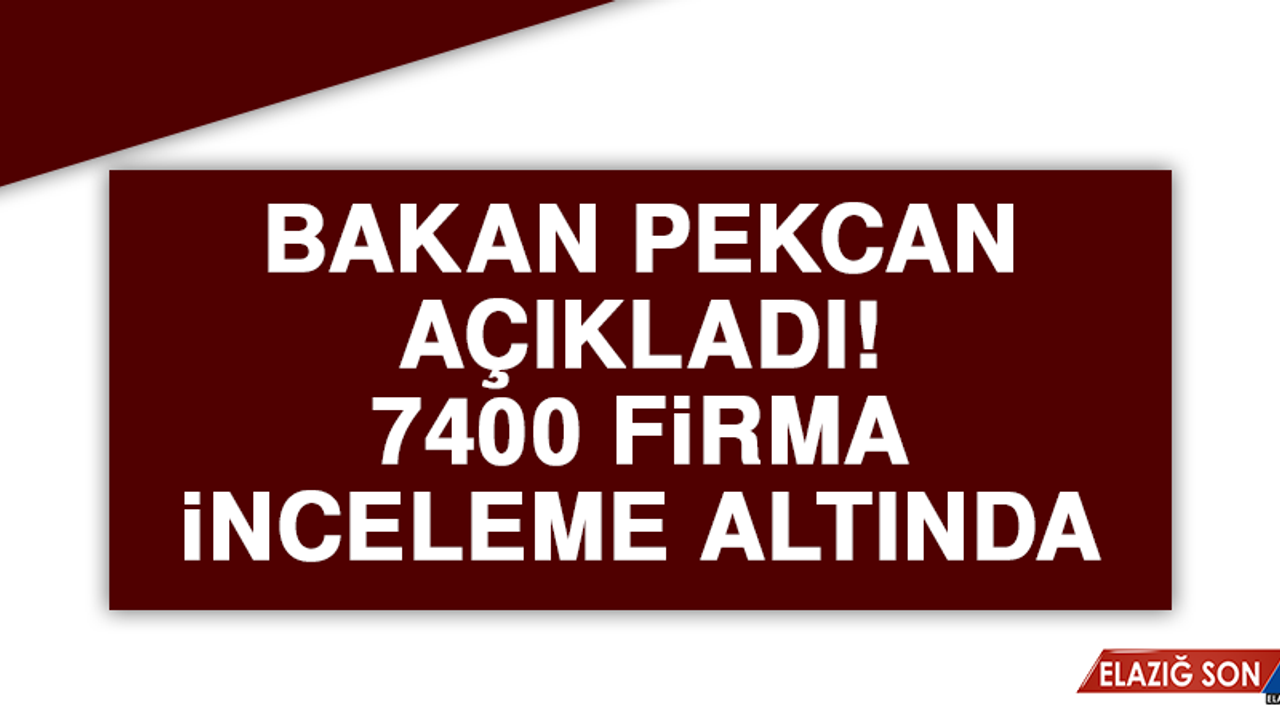 Bakan Pekcan açıkladı! 7400 firma inceleme altında