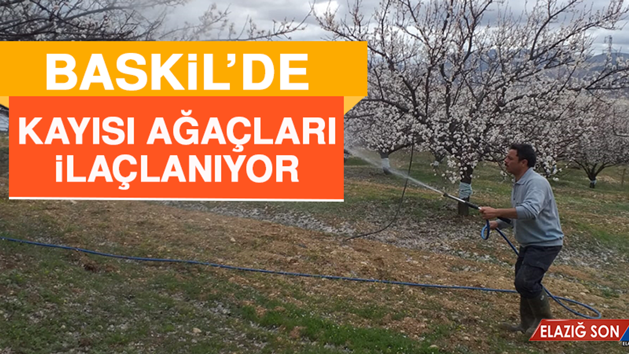 Baskil'de Kayısı Ağaçları İlaçlanıyor