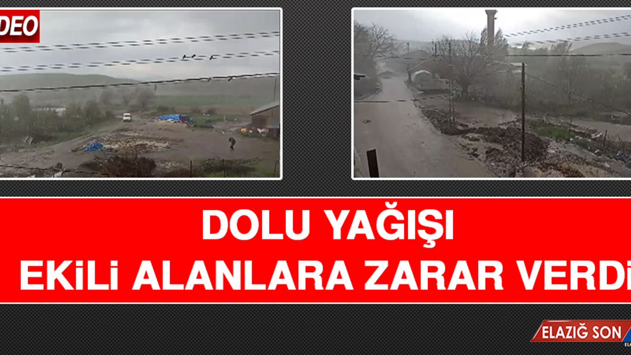 Dolu Yağışı Ekili Alanlara Zarar Verdi