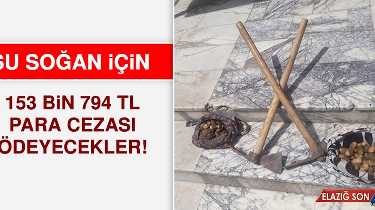 Elazığ'a Geldiler, Ceza Üstüne Ceza Yediler