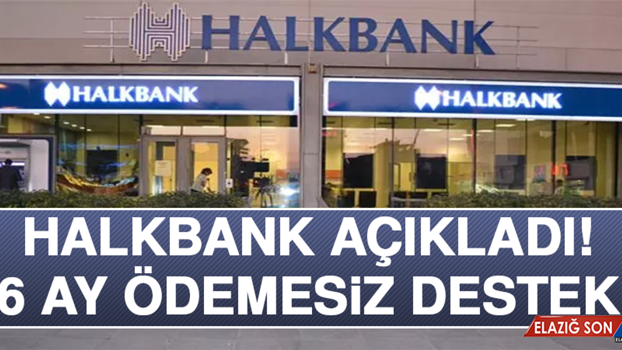 Halkbank Açıkladı! 6 Ay Ödemesiz Destek