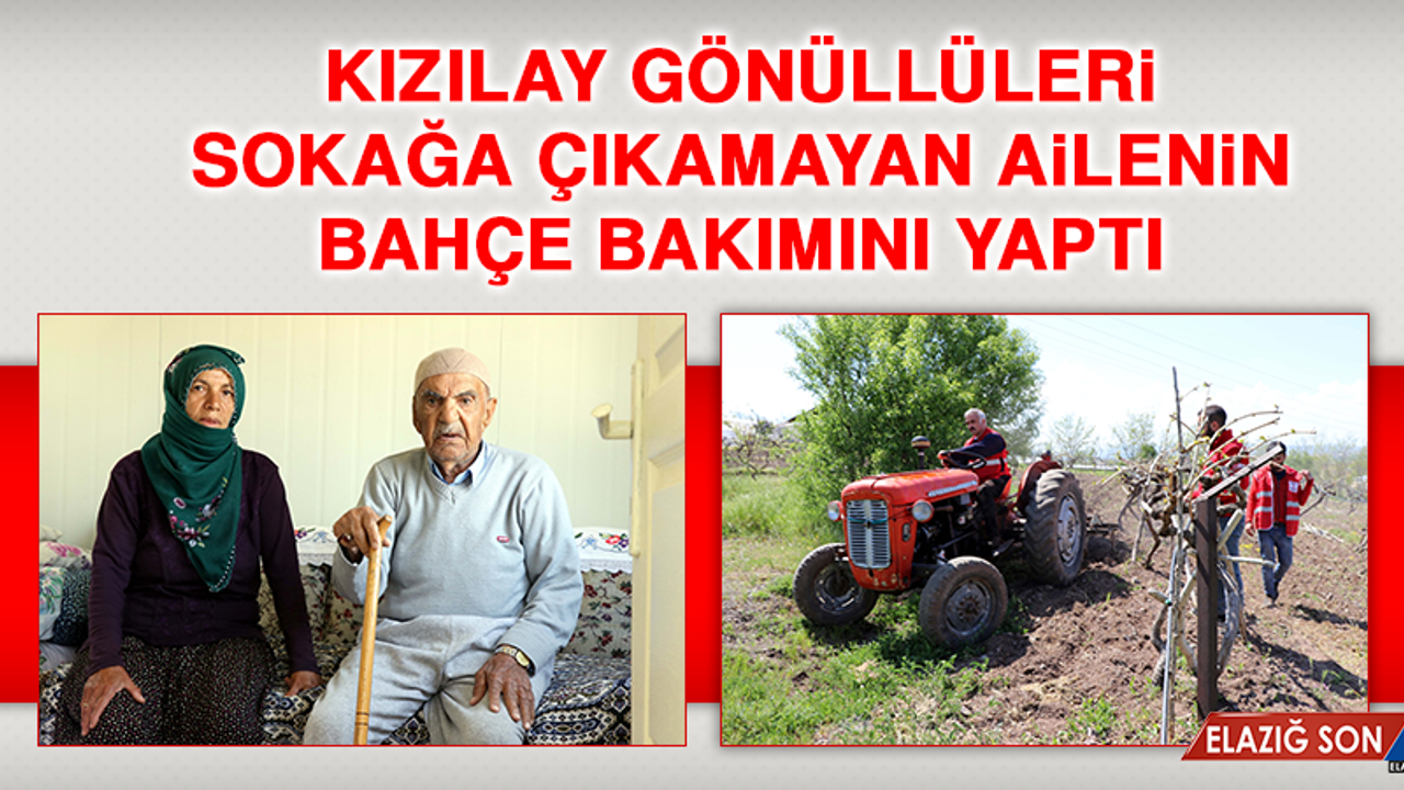 Kızılay Gönüllüleri Sokağa Çıkamayan Ailenin Bahçe Bakımını Yaptı