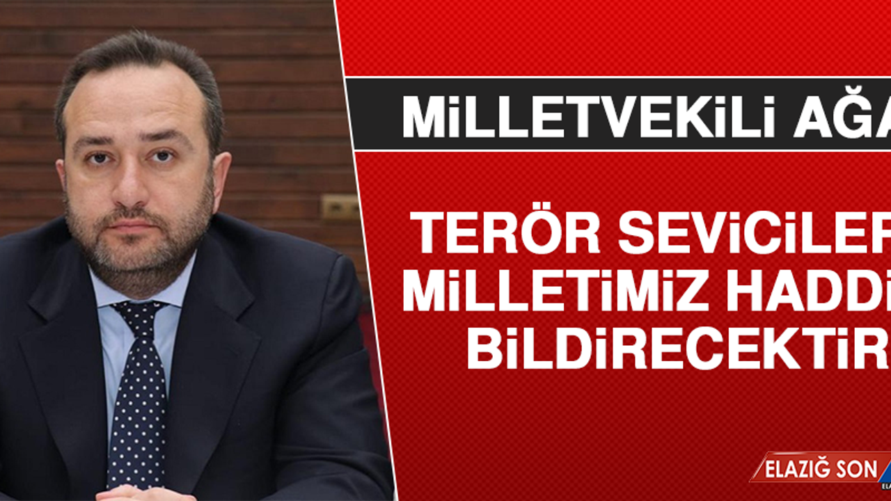 Milletvekili Ağar: Terör Sevicilere Milletimiz Haddini Bildirecektir