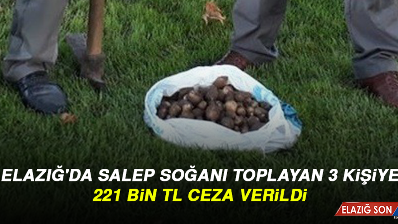 Elazığ'da Salep Soğanı Toplayan 3 Kişiye 221 Bin TL Ceza Verildi