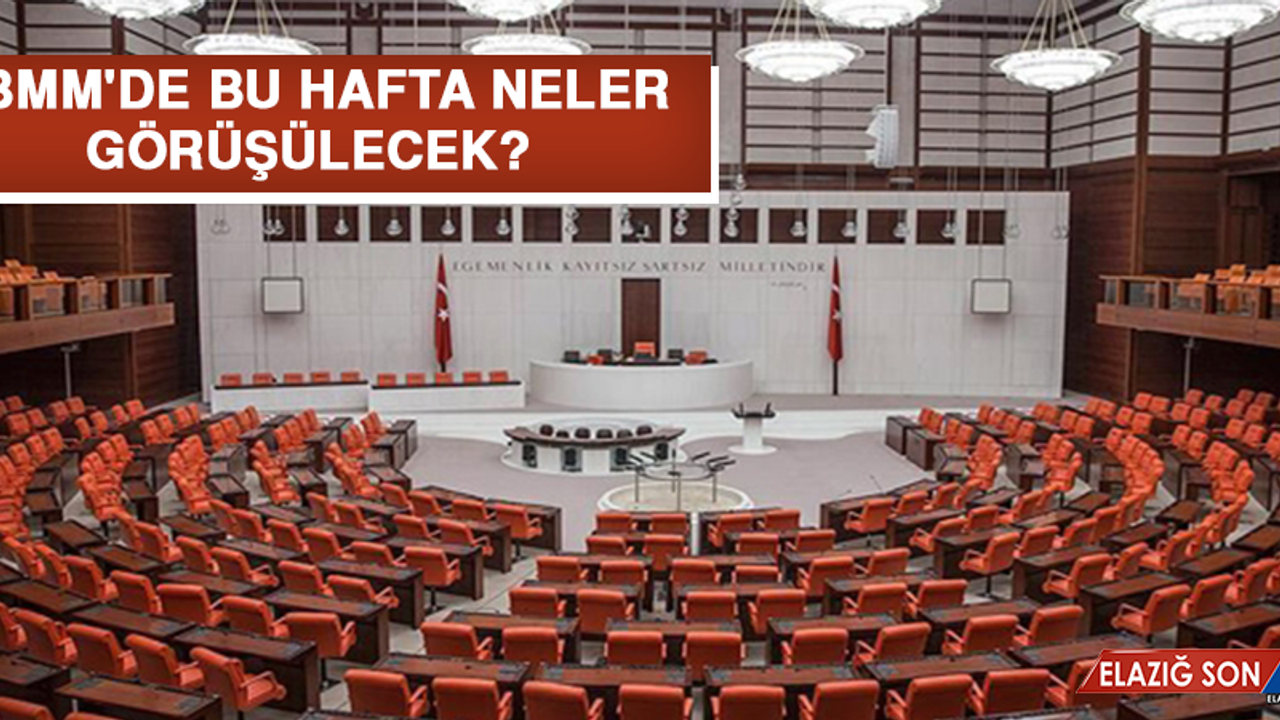 TBMM'de bu hafta neler görüşülecek?