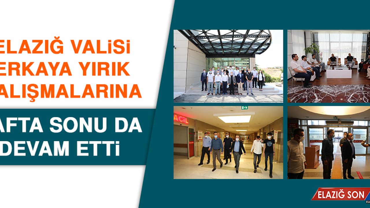 Vali Erkaya Yırık, Hafta Sonu da Çalışmalarına Devam Etti