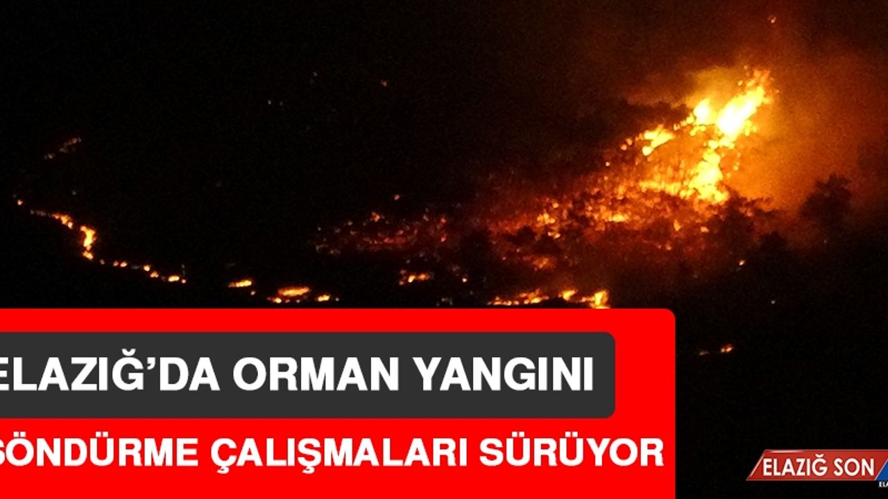 Elazığ'da Çıkan Yangını Söndürme Çalışmaları Sürüyor