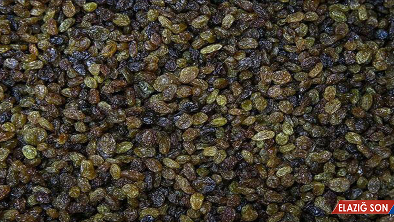 TMO, Manisa'da kuru üzüm alımına başladı