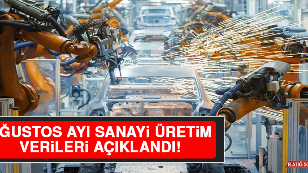 Ağustos Ayı Sanayi Üretim Verileri Açıklandı
