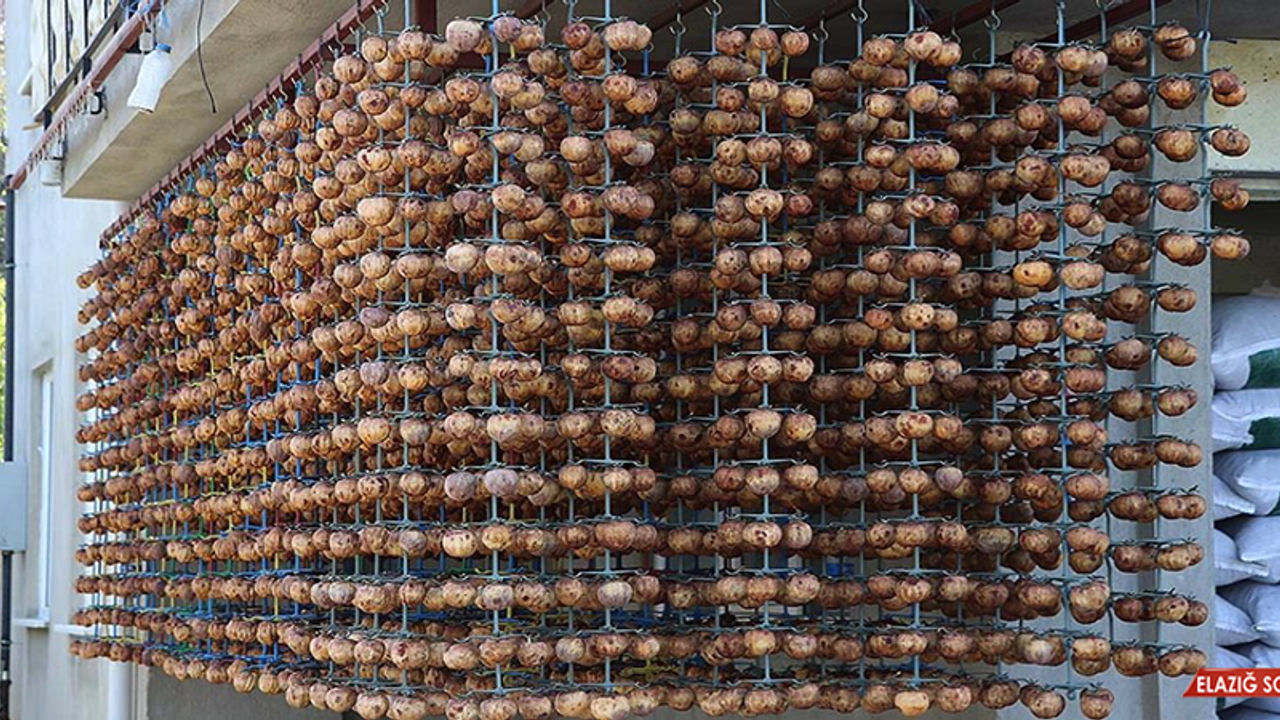 Denizlili Üretici Taze Cennet Hurmasını Satmakta Zorlanınca, Kurutup İhracat Pazarına Girdi