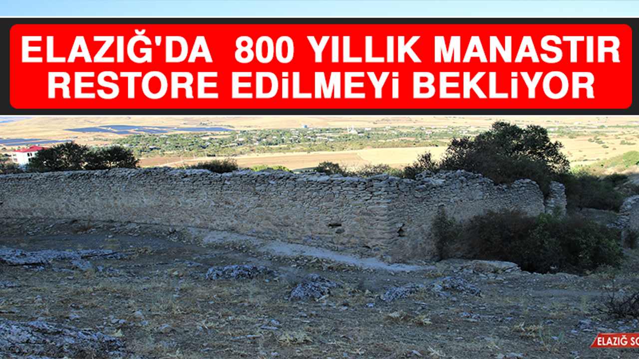 Elazığ'da Zamana Direnen 800 Yıllık Manastır Restore Edilmeyi Bekliyor