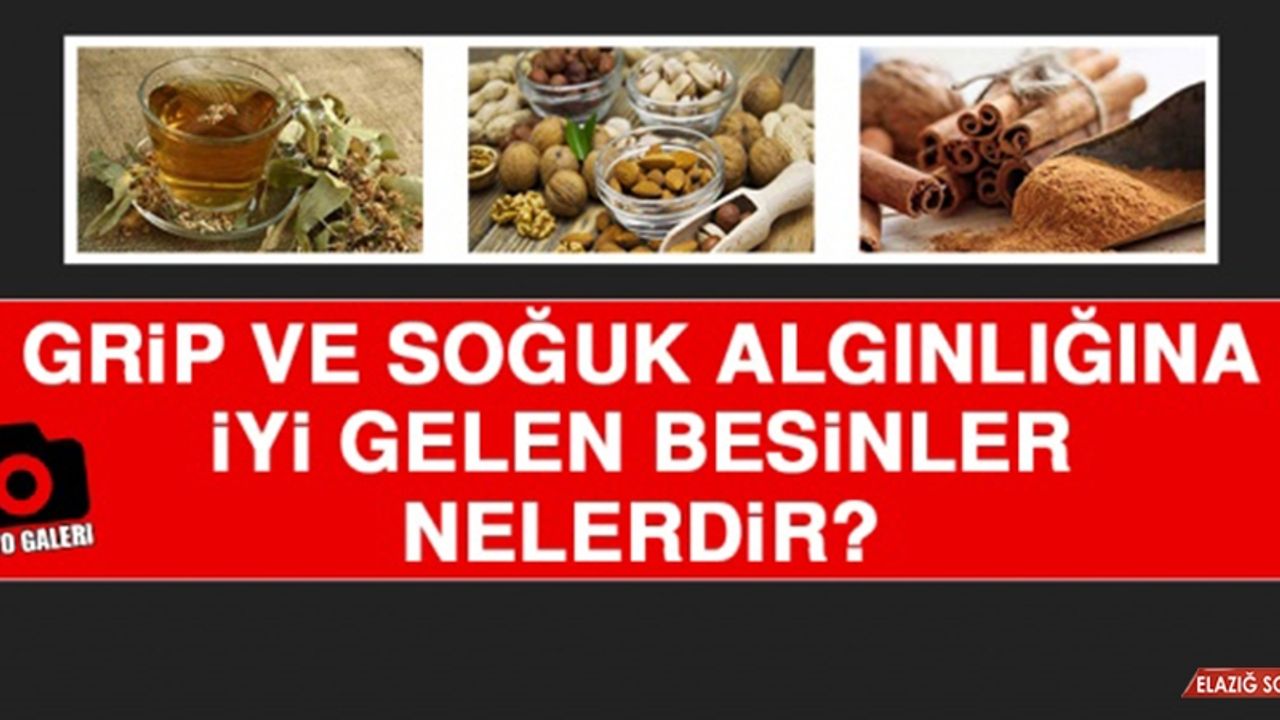 GRİP VE SOĞUK ALGINLIĞINA İYİ GELEN BESİNLER NELERDİR?