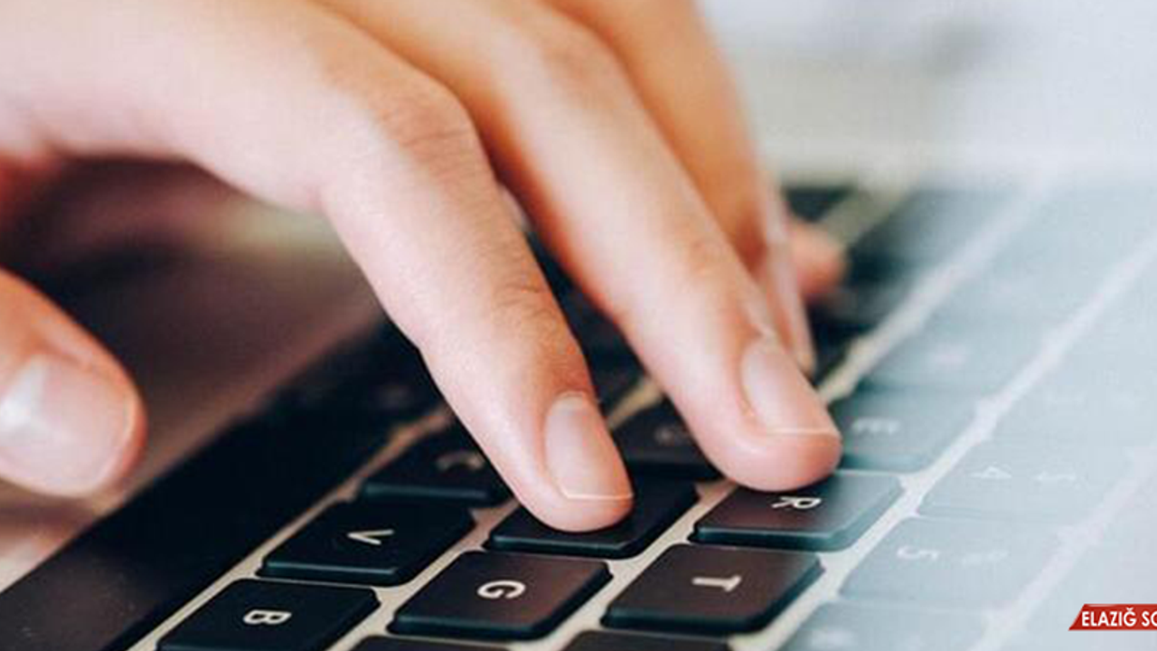 İnternette Alan Adı Verme Yetkisi Artık BTK'da