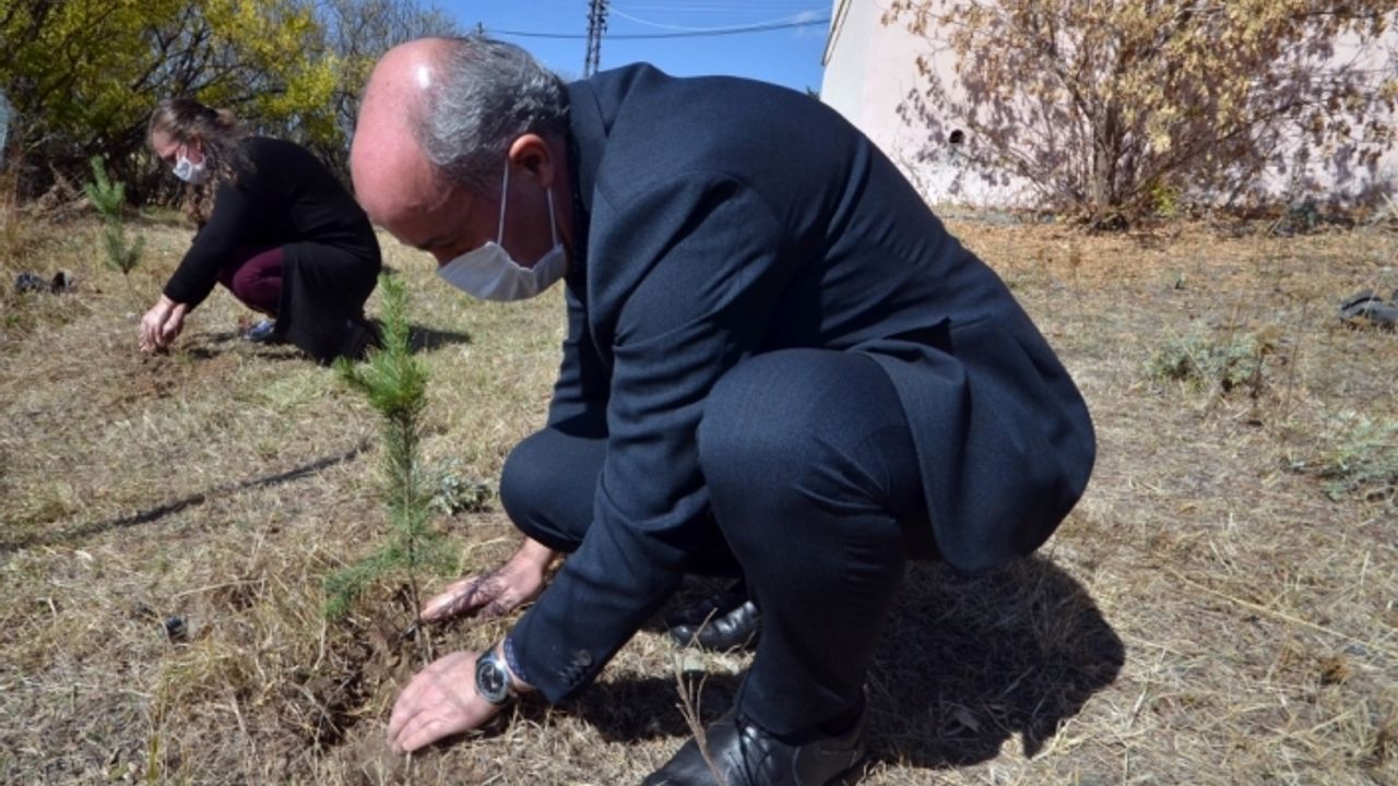 Kars'ta öğretmenler Hatay'daki orman yangınına dikkati çekmek için fidan dikti