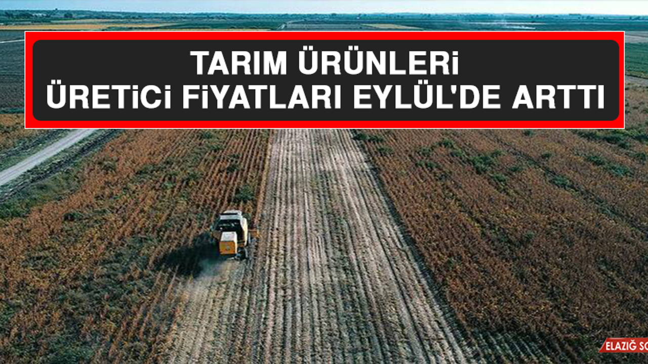 Tarım Ürünleri Üretici Fiyatları Eylül'de Arttı