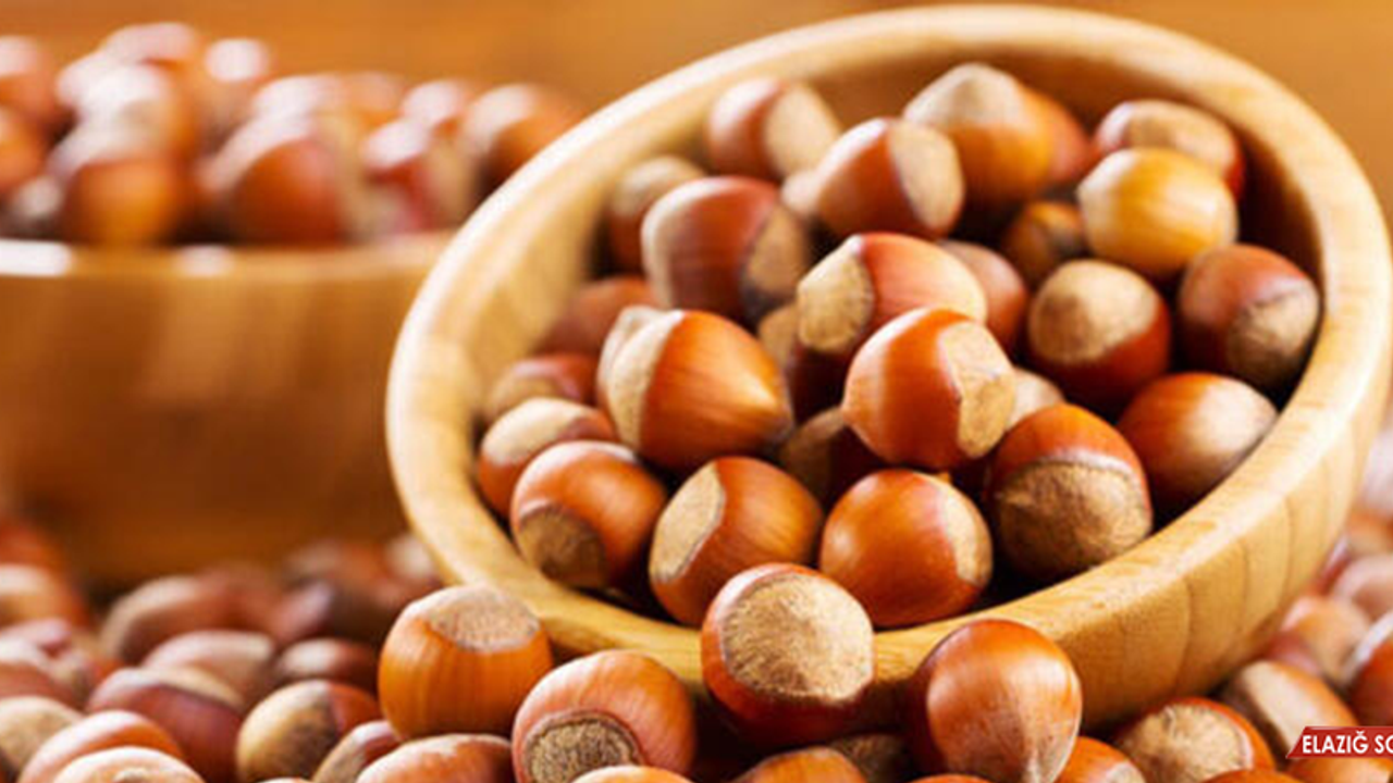 TÜRK FINDIĞINI EN ÇOK AVRUPALILAR TÜKETİYOR