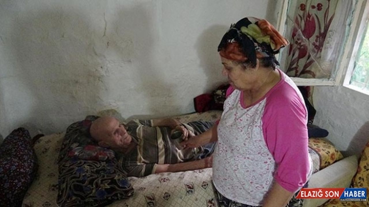 Tek odalı evde yaşayan yaşlı çift yardım bekliyor