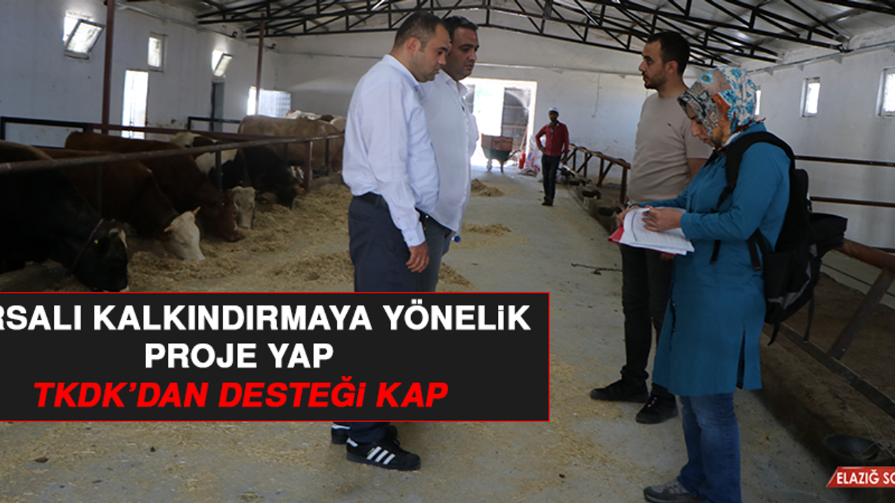 Kırsalı Kalkındırmaya Yönelik Proje Yap, TKDK’dan Desteği Kap