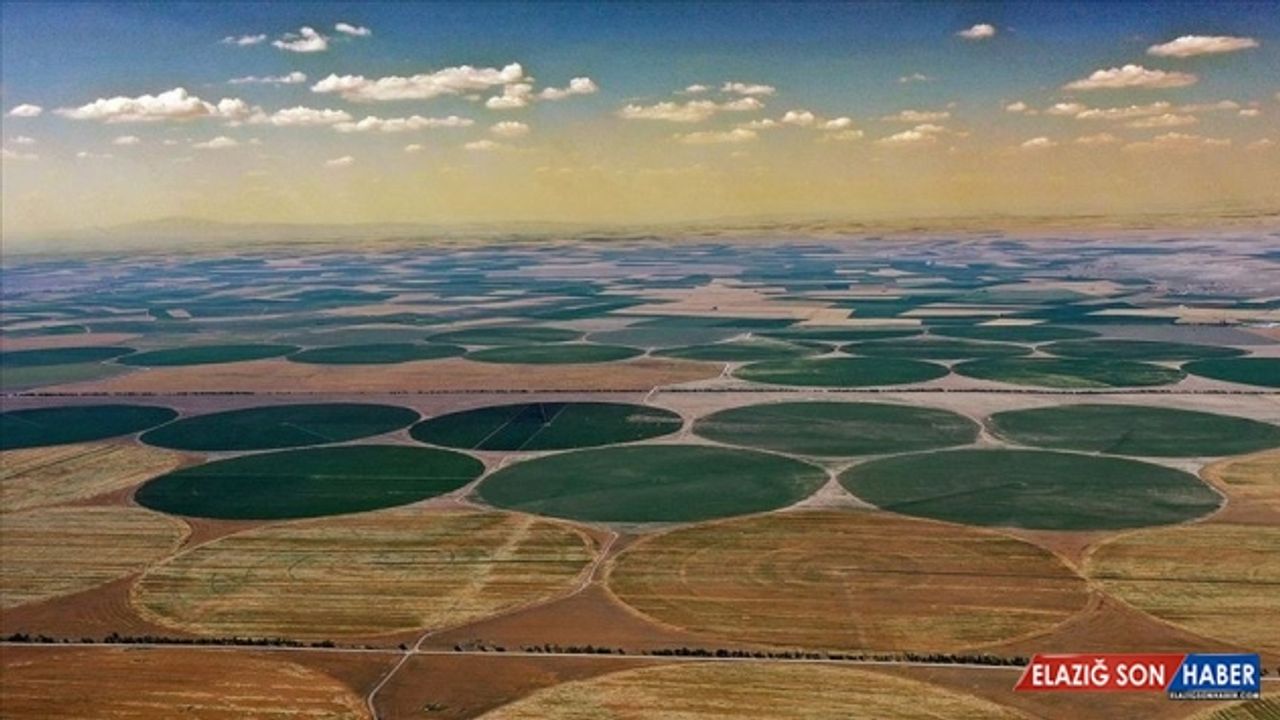 Türkiye'de tarımsal üretimin sigortası: Konya Ovası