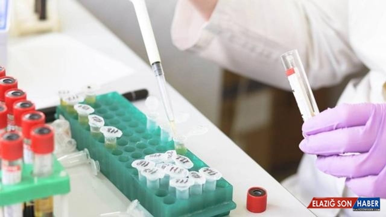 2020 Bilim Ödülleri Töreni bugün yapılacak