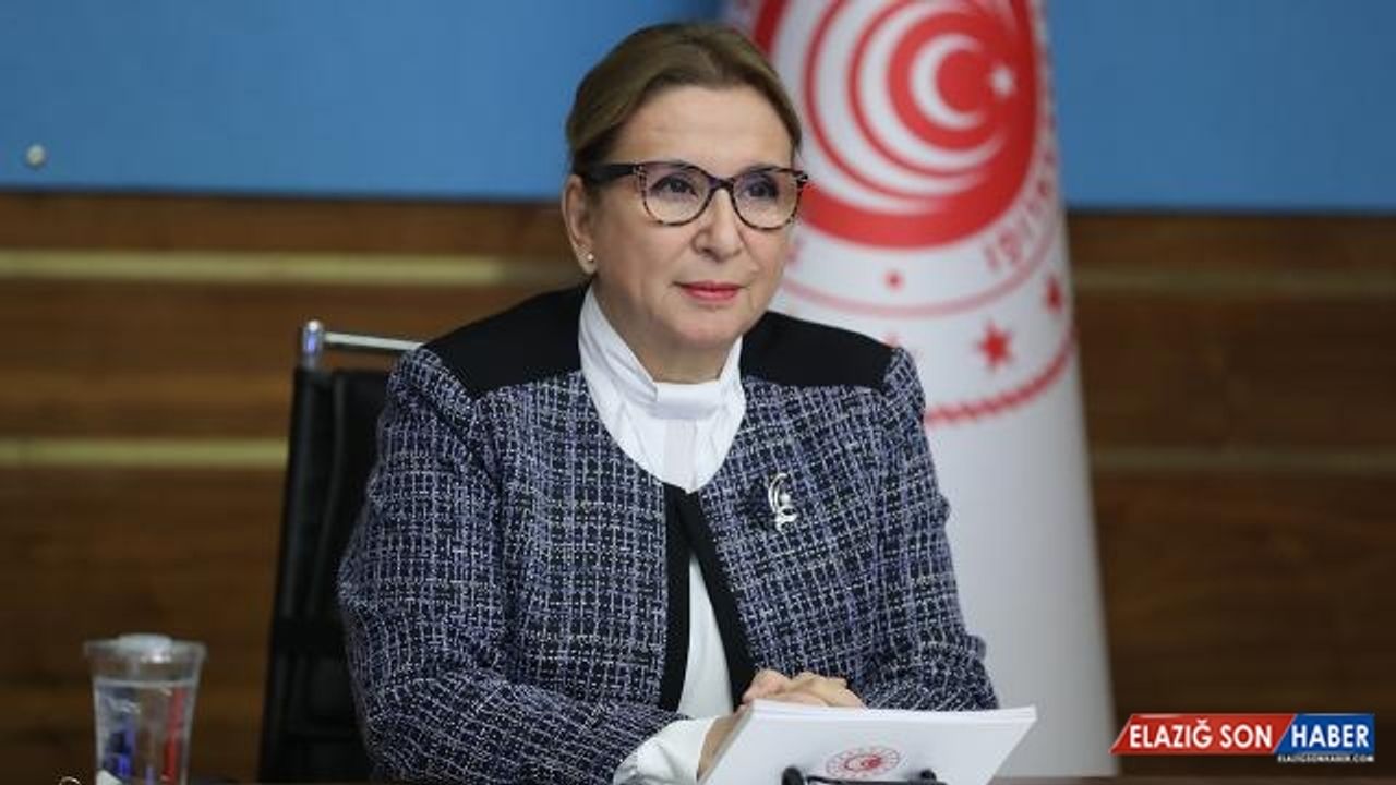 Bakan Pekcan: Türkiye ve OECD arasında yeni bir dönem başlatıyoruz