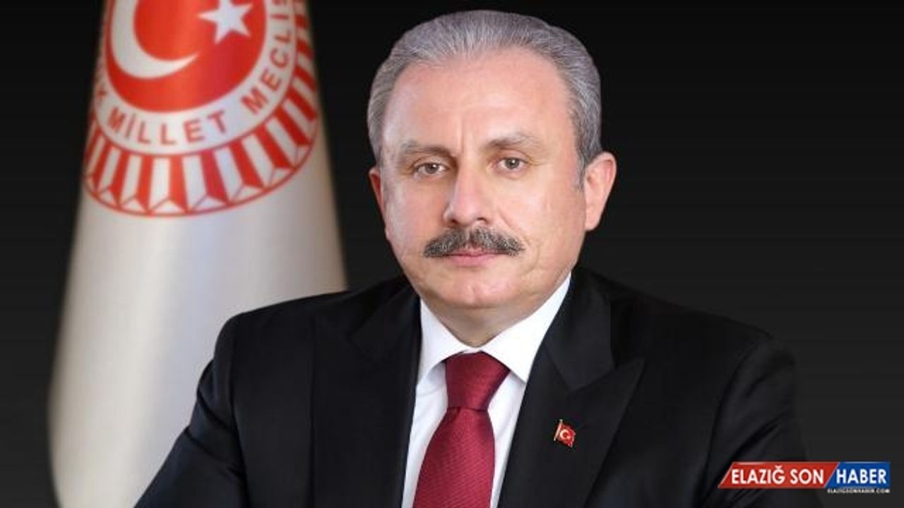 TBMM Başkanı Şentop: Yeni anayasa bir ütopya, erişilmez bir şey değildir