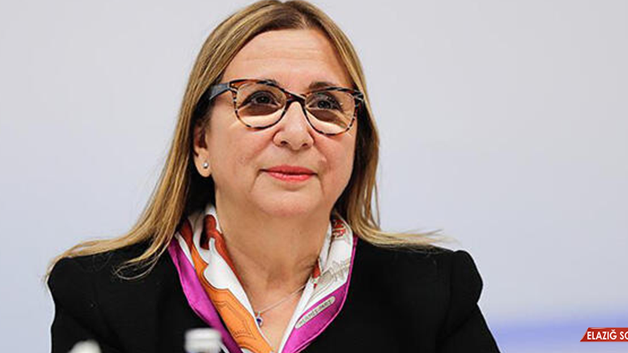 Ticaret Bakanı Pekcan'dan AB Açıklaması