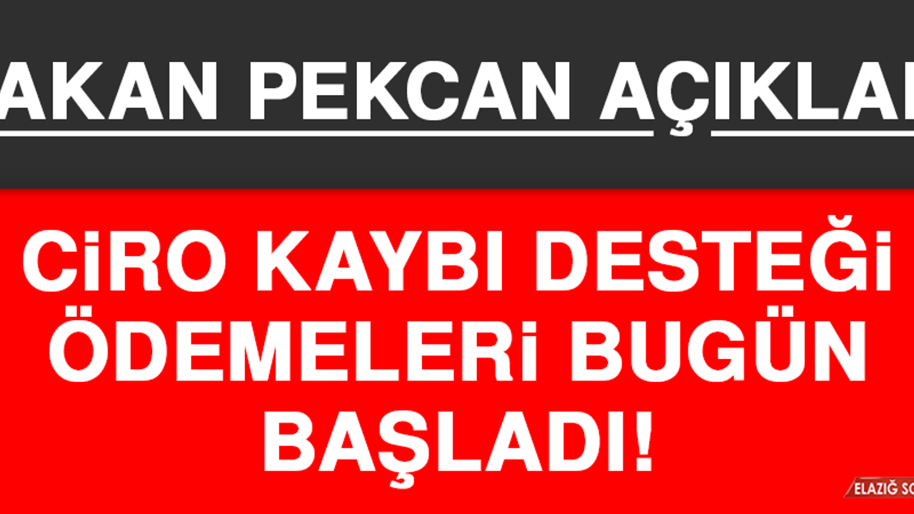 Ciro Kaybı Desteği Ödemeleri Bugün Başladı