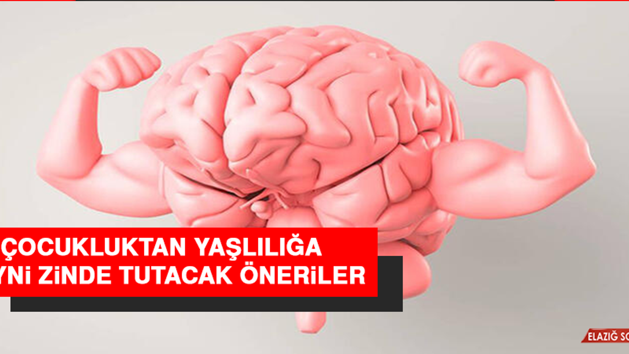 Çocukluktan Yaşlılığa Beyni Zinde Tutacak Öneriler
