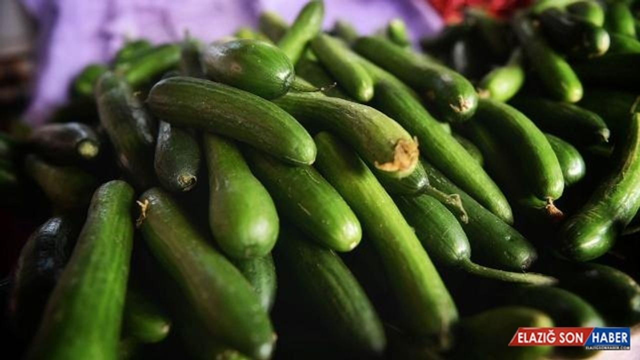 Şubat ayında en çok salatalık fiyatı arttı