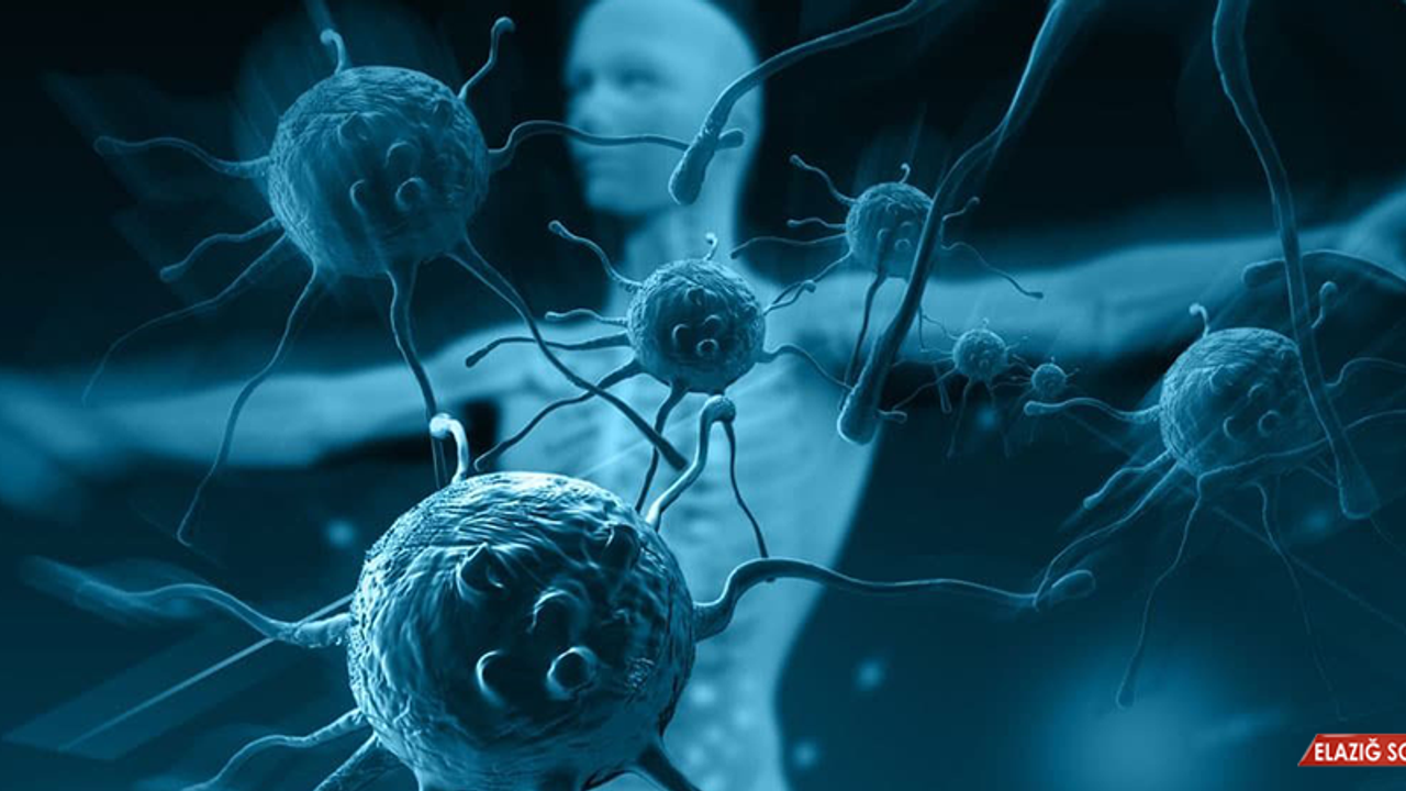 Zayıf Bağışıklık Sisteminin Belirtileri Ve Nedenleri