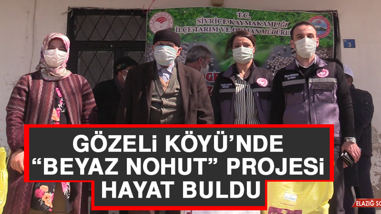 Gözeli Köyü’nde “Beyaz Nohut” Projesi Hayat Buldu