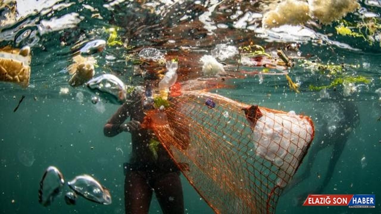 Deniz Kirliliği Önce Balıkları Vuruyor