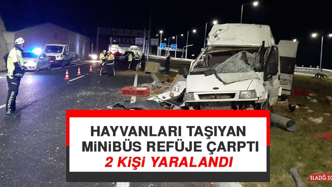 Hayvanları Taşıyan Minibüs Refüje Çarptı 2 Kişi Yaralandı